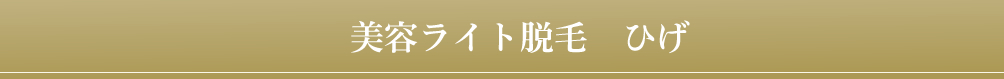 SRハンドピース 光フェイシャル