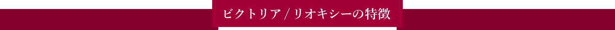 『RIOXY』の特徴