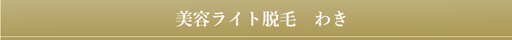 SRハンドピース 光フェイシャル